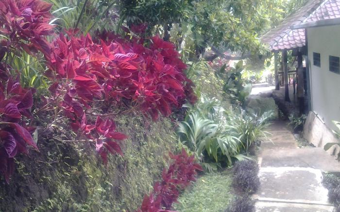 Bali Rahayu Homestay