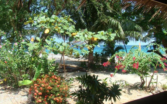 Amami Beach Resort