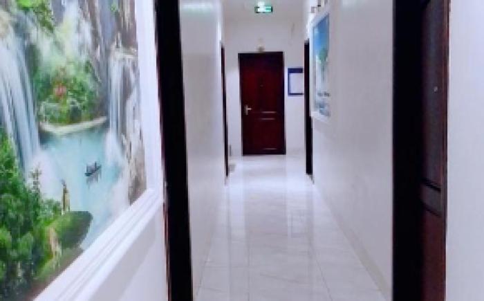 Sao Mai Hotel