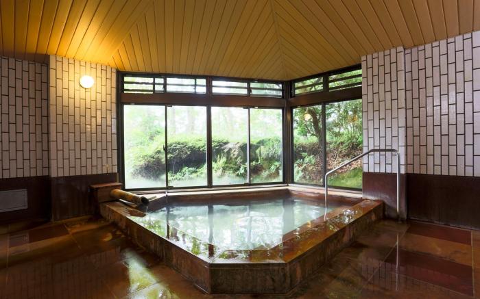 HAKONE GORA ONSEN Hotel Kasansui