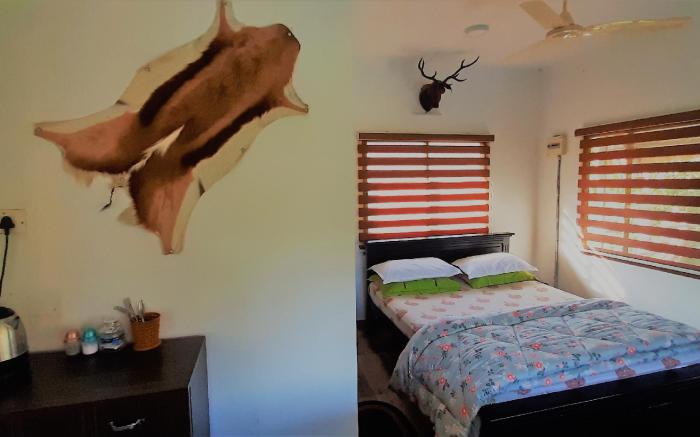 Noahs Nest Tree house