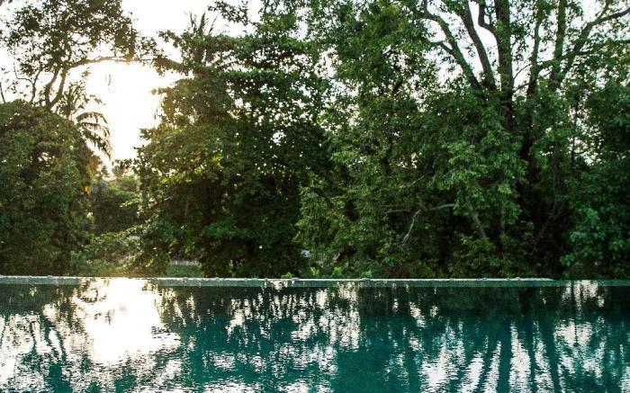 Treeline Urban Resort