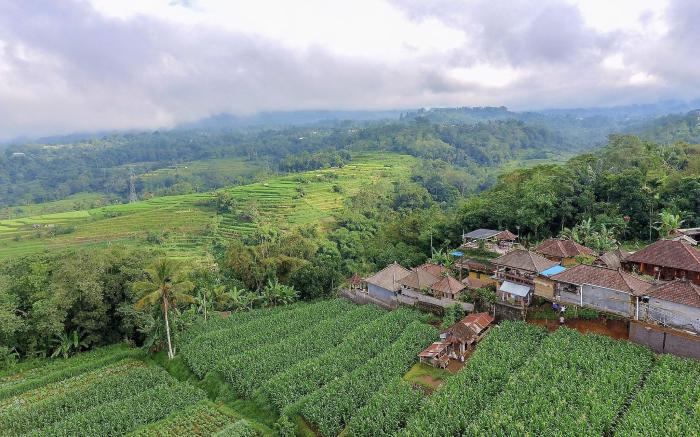 Pondok Nyoman Bedugul