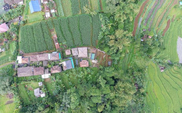 Pondok Nyoman Bedugul
