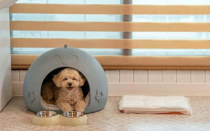 Gapyeong Dongban84 Glamping&Pool villa