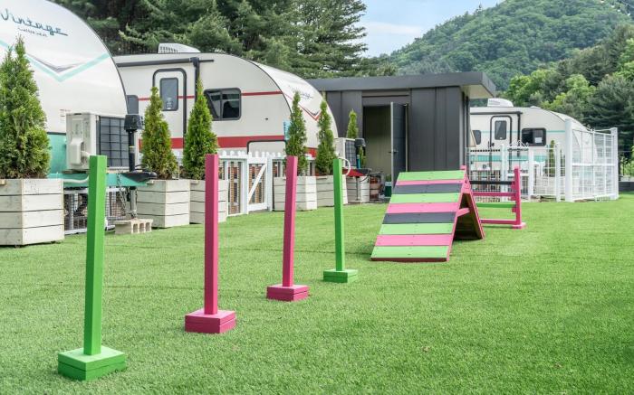 Gapyeong Dongban84 Glamping&Pool villa
