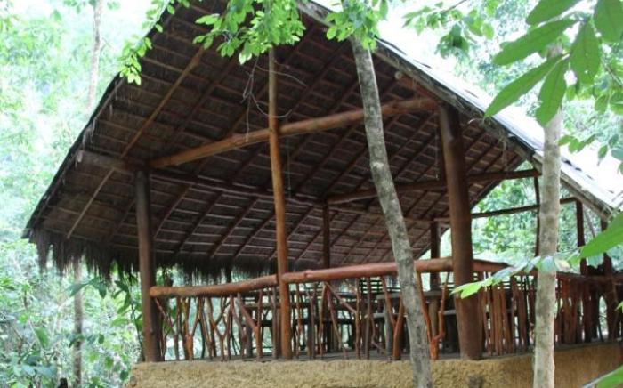 Jungle River Resort