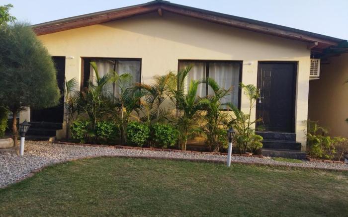 The Jungle Hideout - Unit of Shivaneel Hospitality