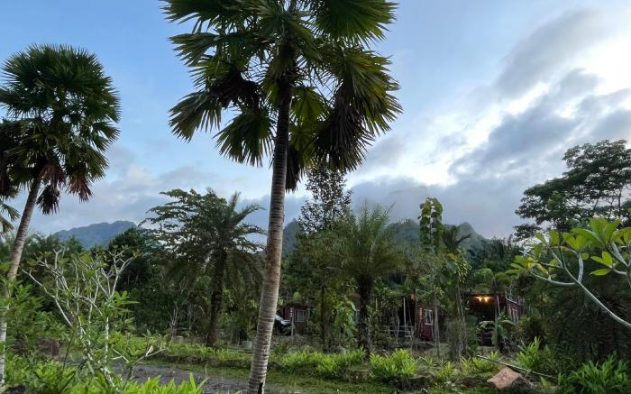 The Camper Lodge, Khao Sok