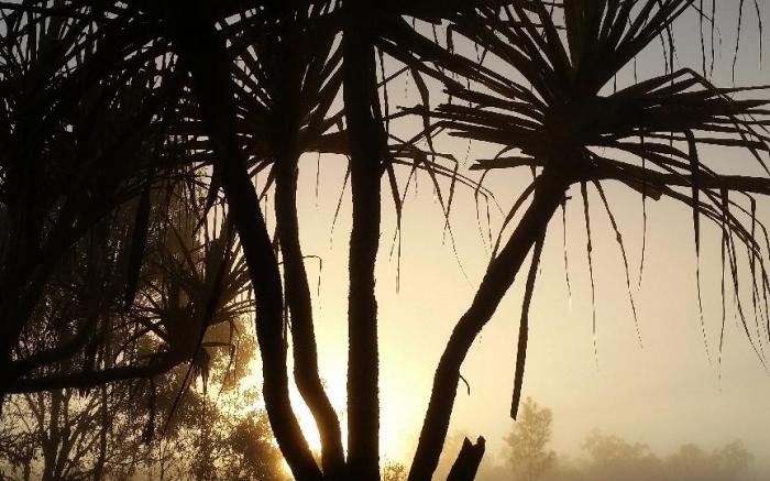 Wild Nature Lodge, Mareeba Wetlands