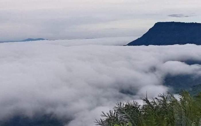 Baan Phak Plaithang  @Phu Thap Buek