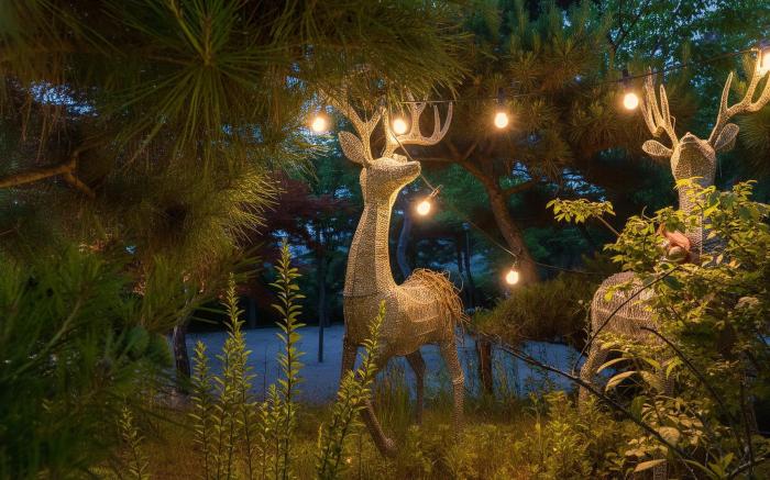 gyeongju yongcheonsu caravan