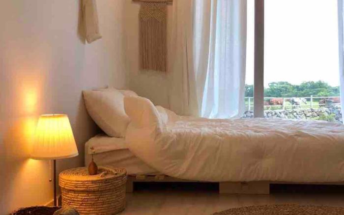 Pony Jeju [Couple Room 107] Hallasan 10 minutes