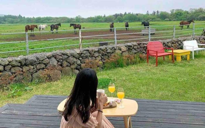 Pony Jeju [Couple Room 107] Hallasan 10 minutes