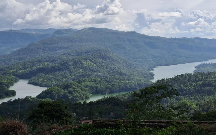 Tea Flower Adventure 