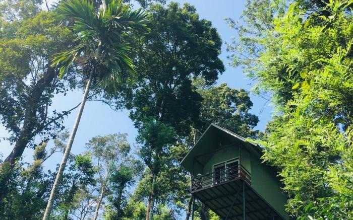 Wayanad Whistling Woods