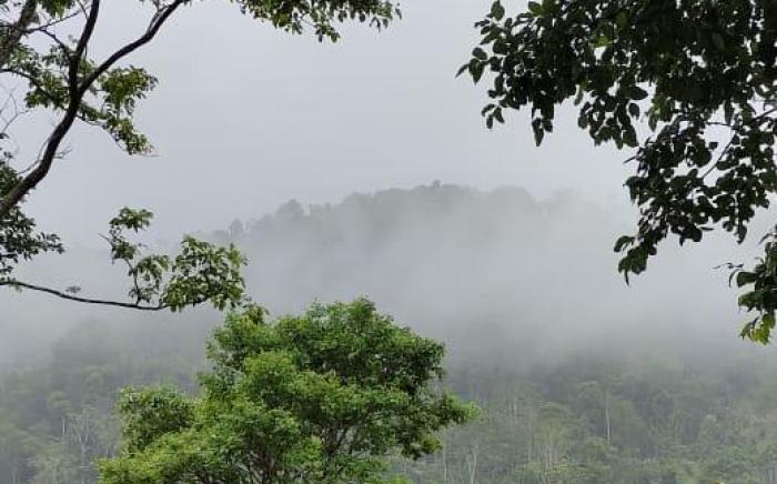 Wayanad Whistling Woods