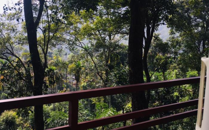 Wayanad Whistling Woods