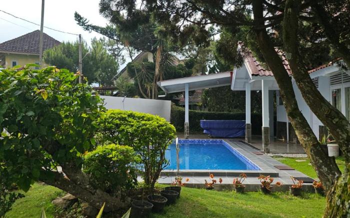Villa Nesa 