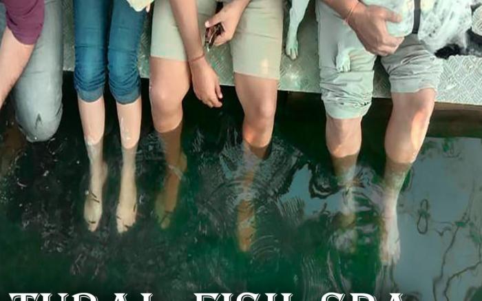 Maval Agri Tourism Maval Karunj