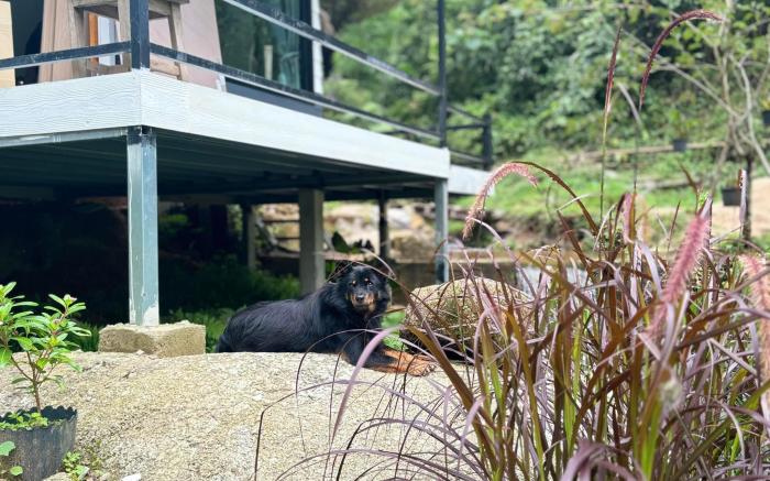 Udom Homestay & Coffee Farmhouse