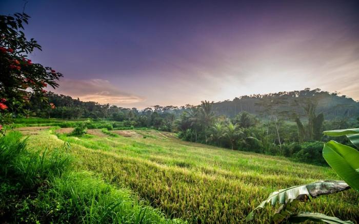 Artist Villa 4BR Dandan Bukit Tranquil View