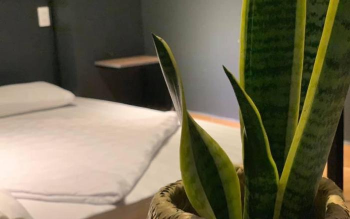 Hometays Bamboo
