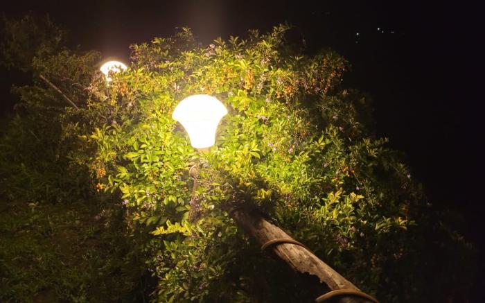 Glamp Of Dreams
