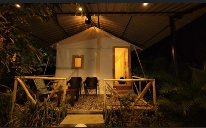 Wilderness Jungle Camp