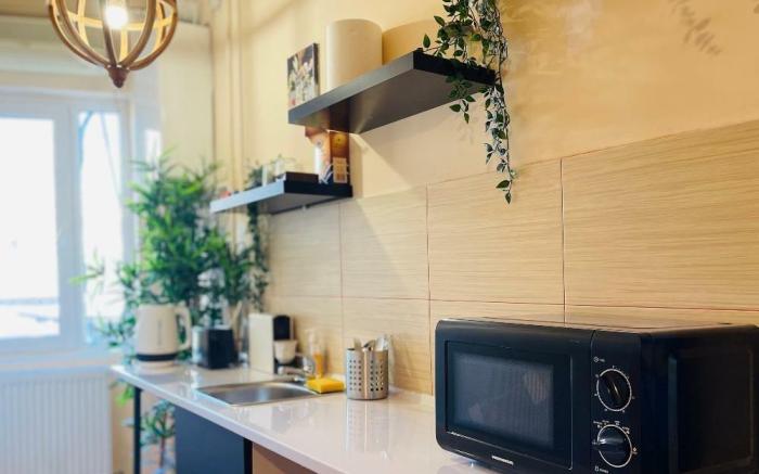 Elegant Getaway Calea Victoriei | 2 Room Apartment