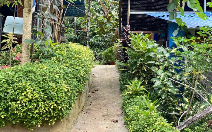 DA Family Mini Garden