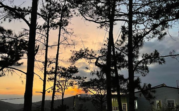 Touch Dalat