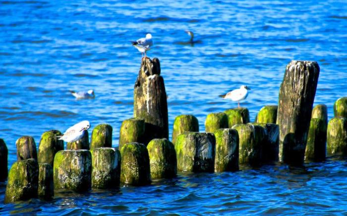 Nachtstern Comfortable holiday residence