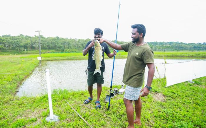 Wildsidewayanad
