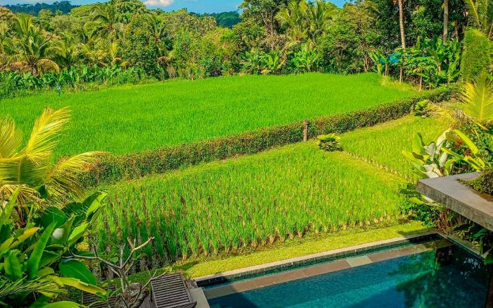 Dukuh Ubud Villas