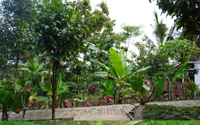 Purwa Ijen
