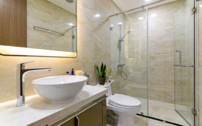 1 bebroom in Landmark 81, Vinhomes central park
