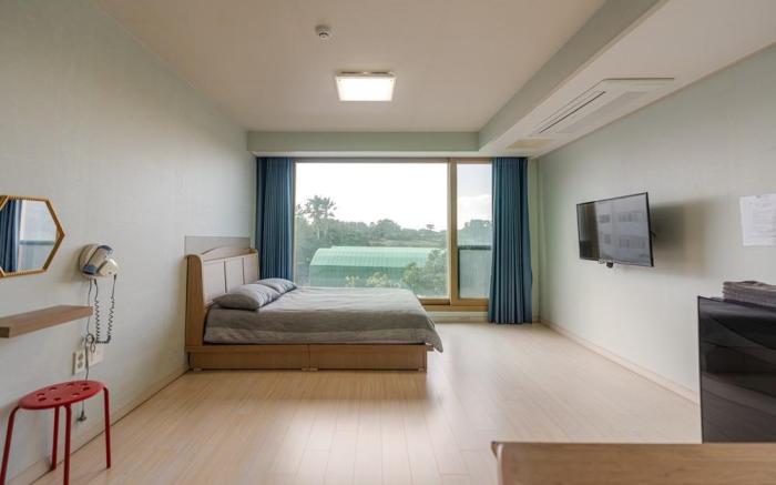 Seongsan Pet-Friendly Sol Pension
