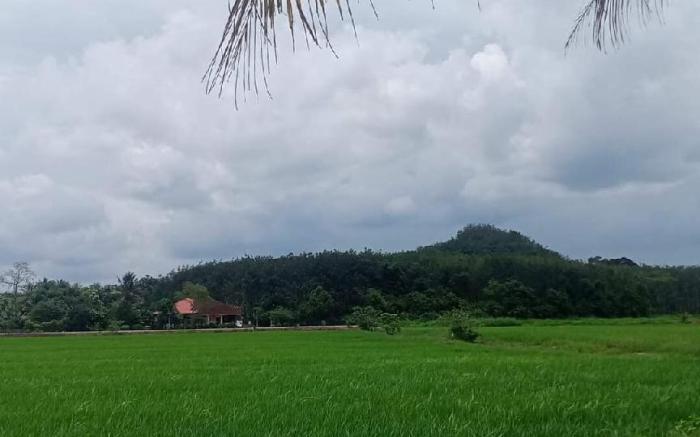 Sri Nawa Homestay