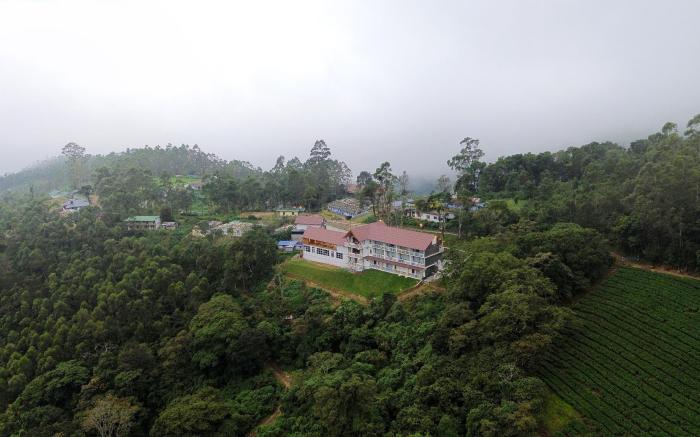 Tea Tree Munnar