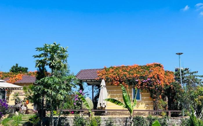 DU MÂY HOMESTAY