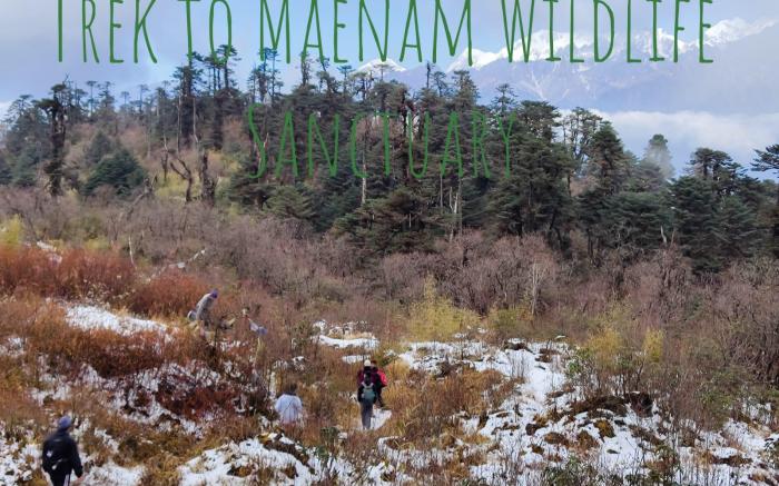 The Alpine Jungle Stay