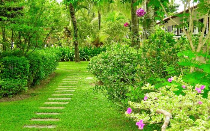 The Golddigger's Resort