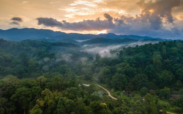 iRETREAT Jungle Bliss, Pa Pae