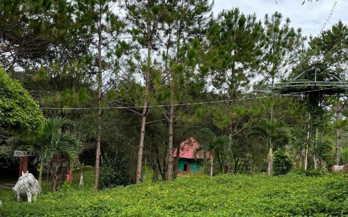 Đắk Nông Lodge Resort