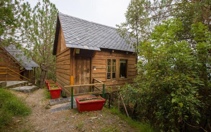 Alaya Stays  Tree House -Suro Woodbine Chalet