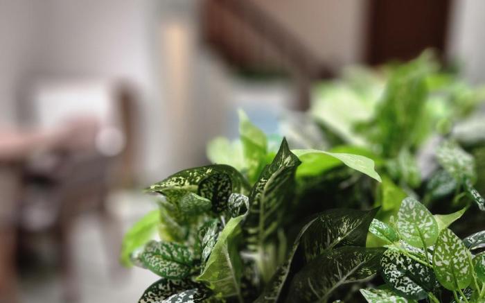 Bleuchat homestay 6 brs Old Quarter Hanoi