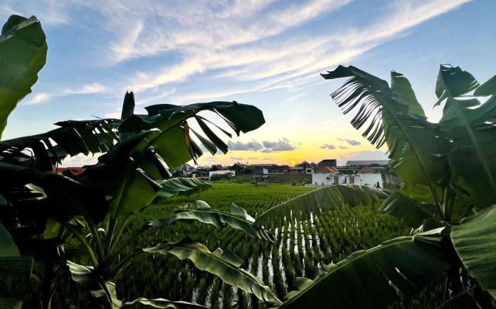 Rice Field Sunset View Villa Canggu