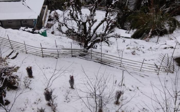 Goroomgo Pink Floyed Homestay Kalimpong	