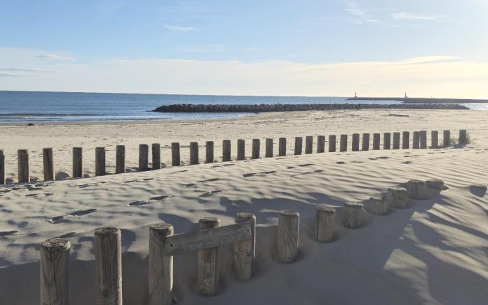 Sable & Pampas 🌟 Meublé de tourisme 5 étoiles 🌟